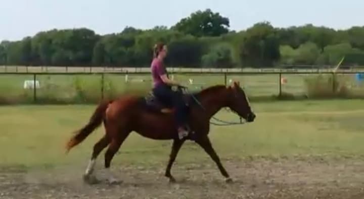 96586271_374806930094091_4370514091404427264_n